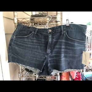 Universal Thread Shorts